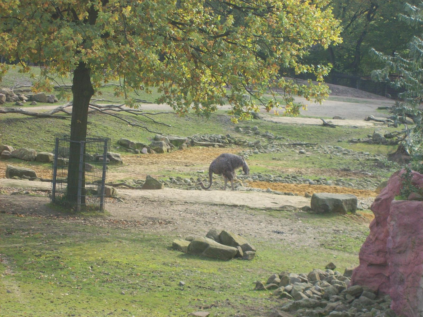Zoom 18.10.2008-098.jpg